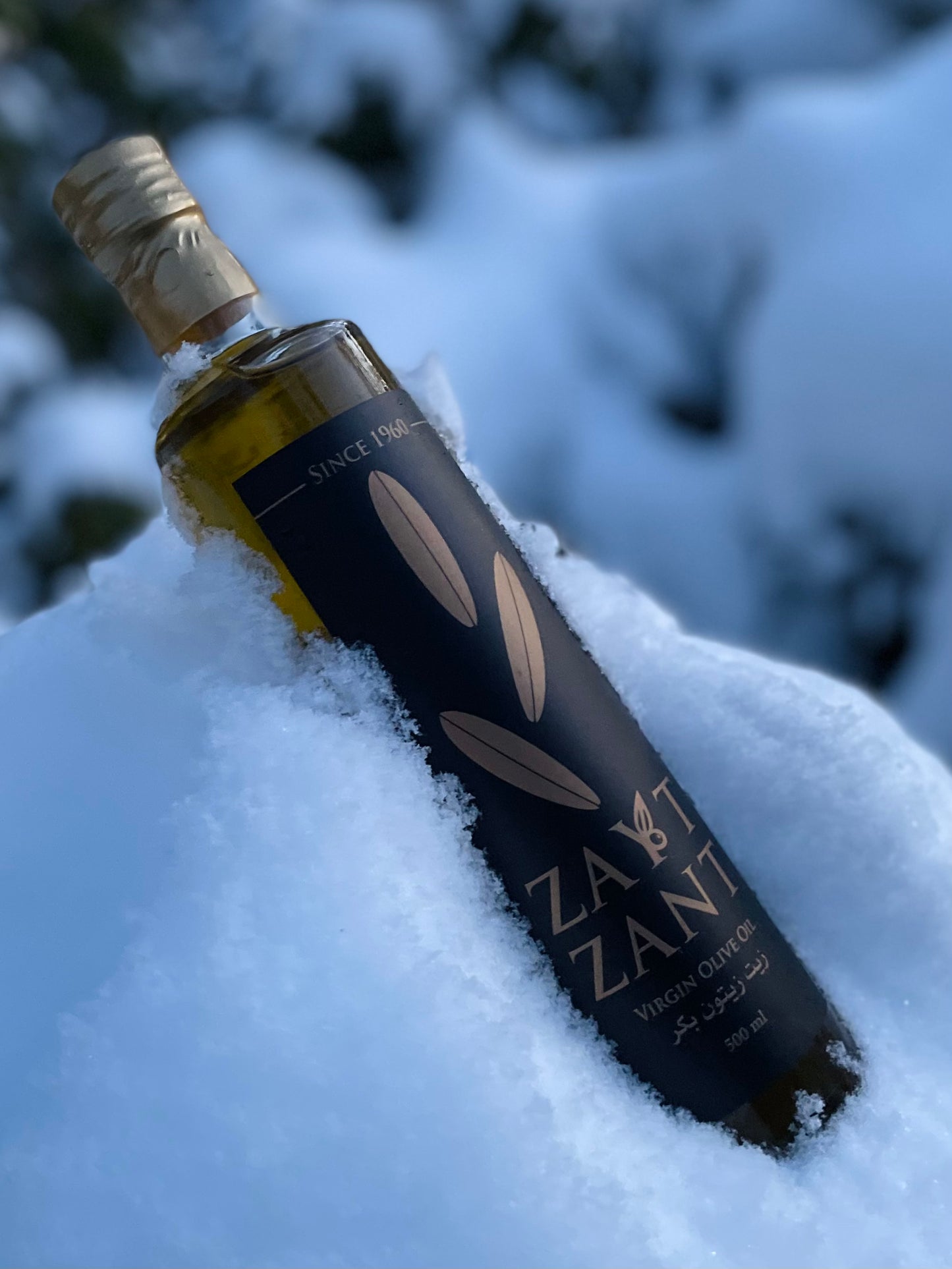 100% Pure Virgin Olive Oil, Single-Source, Imported, (500 mL) bottle